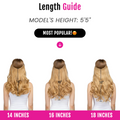 The Invisible Seamless Blend™ Halo Extensions